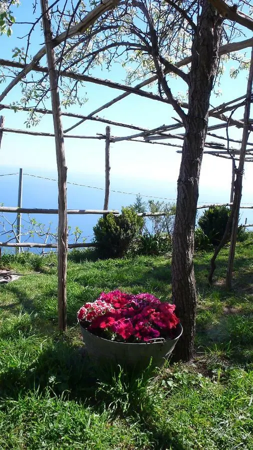 Villa Ancient Medieval Chapel Amalfi
